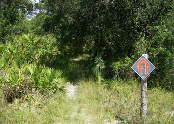Myakka River State Park Hiking Trails - Familiar Florida Trail Sign