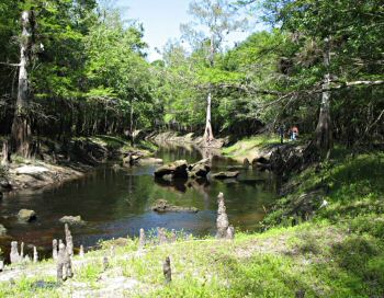 Withlacoochee River in Richloam